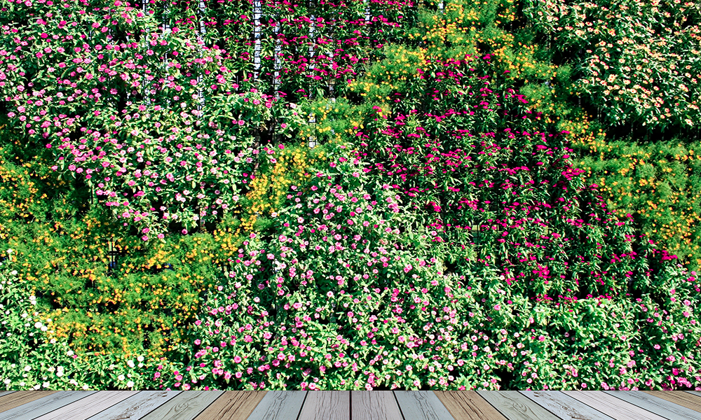 blog_jardinsverticais